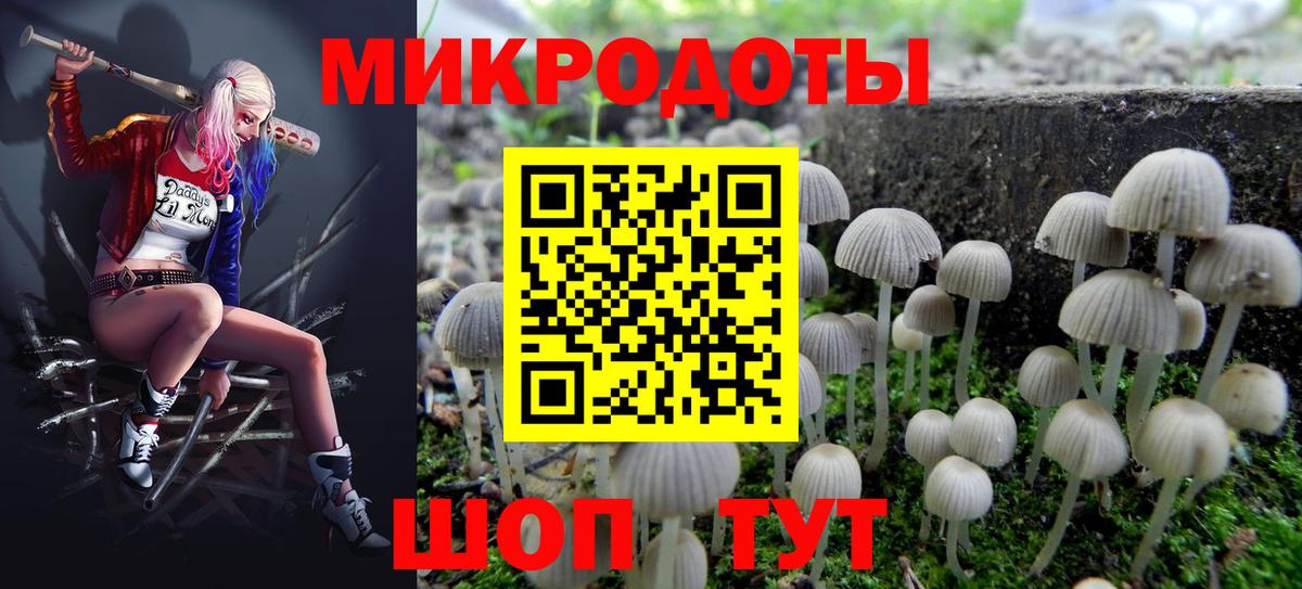 Псилоцибиновые грибы Psilocybine cubensis Красногорск
