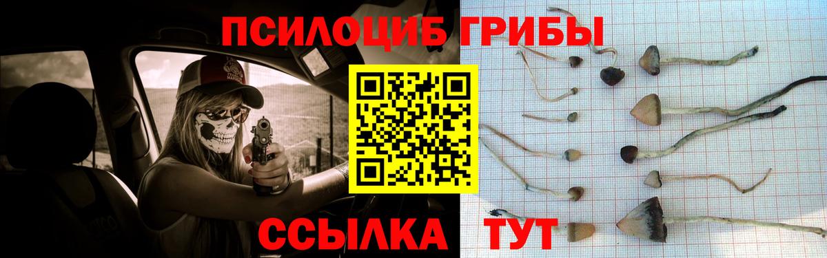 Галлюциногенные грибы Psilocybe  Вход с VPN  что такое   Красногорск  Галлюциногенные грибы ЛСД 
